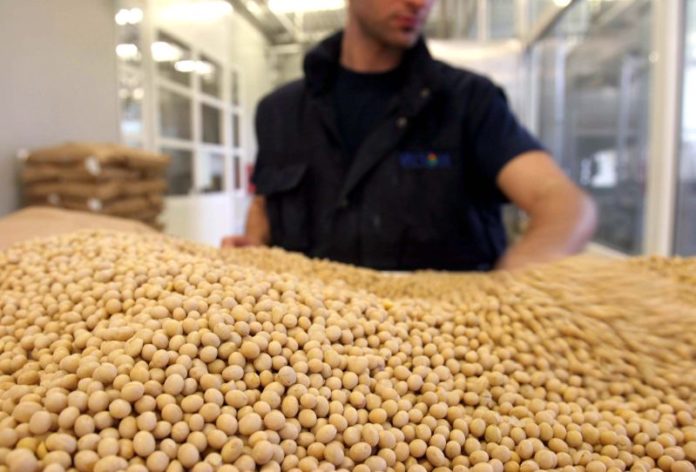 INDUSTRIA ALIMENTARE VALSOIA