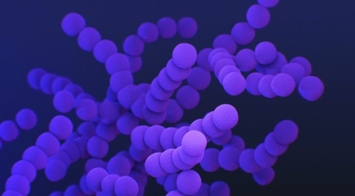 Covid-19, nuove conferme sull’efficacia della lattoferrina