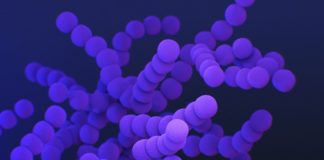 Covid-19, nuove conferme sull’efficacia della lattoferrina