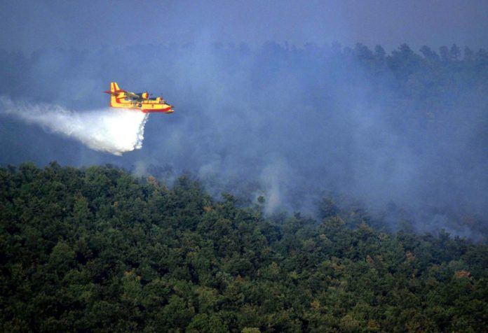 INCENDIO INCENDI BOSCO ALBERI CANADAIR ESTINZIONE SPEGNIMENTO