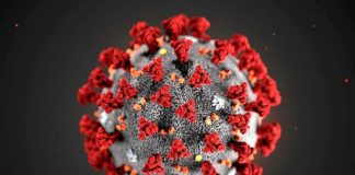 Coronavirus, in Piemonte 865 nuovi casi e 25 decessi