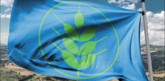 Spighe Verdi 2021, candidature entro il 12 maggio