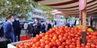 Arriva la task force degli stagionali “Salva raccolti”