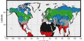 Uno studio, neve e vegetazione modulano il riscaldamento climatico