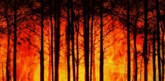 Solinas “Contratto per 11 elicotteri in Sardegna contro incendi”