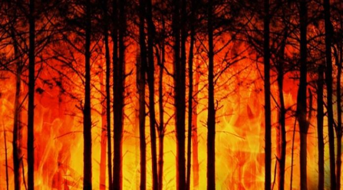 Solinas “Contratto per 11 elicotteri in Sardegna contro incendi”