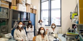 Arrivano i batteri mangia-plastica per riciclare i rifiuti organici