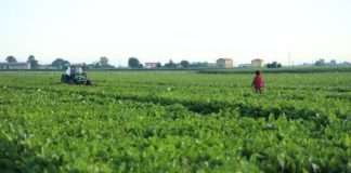 In Sicilia Sibeg sempre più green