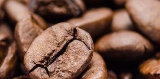 Nasce la Slow Food Coffee coalition