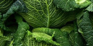 Stop pratiche sleali ferma speculazioni cibo