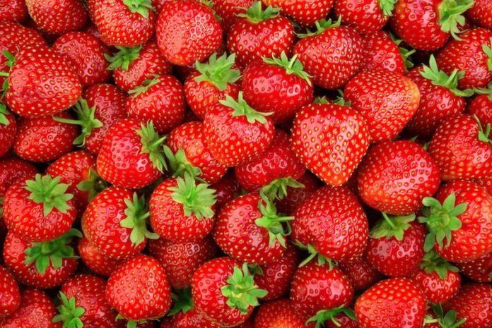 Strawberry. Fresh organic berries macro. Fruit background