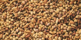 Coldiretti, consumi frutta secca +9% ma è invasione turca