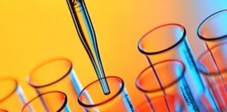 Tumore al polmone, passi avanti verso la terapia personalizzata