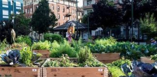 Per 44% italiani frutta e verdura coltivata in giardini e orti urbani