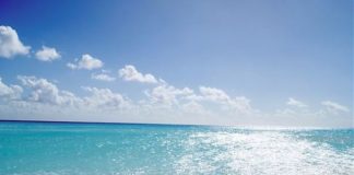 Marevivo “Finalmente il mare entra nel Pnrr”