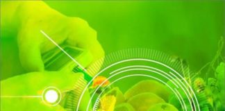 Diabete, sensori low cost per misurare il glucosio nel sangue