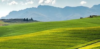 Slow Food presenta programma con Fao su patrimonio agricolo mondiale