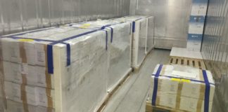 Vaccini, 2,5 milioni di dosi in arrivo in Italia