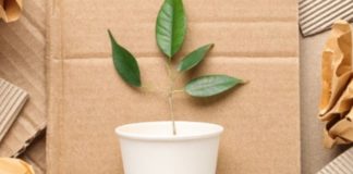 Da filiera carta contributo a obiettivi transizione ecologica