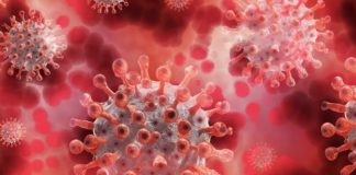 Coronavirus, nessun decesso e 61 nuovi positivi in Valle d’Aosta