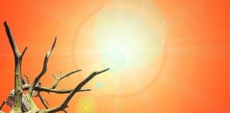 Recovery, Ambientalisti “Non è un piano significativo per il clima”