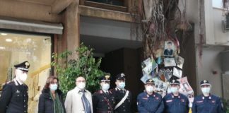 L’Albero Falcone sarà in 500 mila scuole italiane