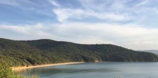 Imprenditori turistici Scarlino “Serve più collaborazione, no polemiche”