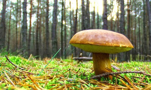 Ampliamento Parco dei Monti Simbruini, ok in commissione a pdl