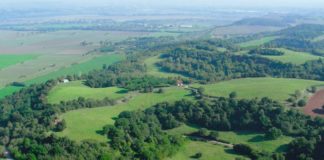 Il Consiglio regionale approva il Piano della riserva della Marcigliana