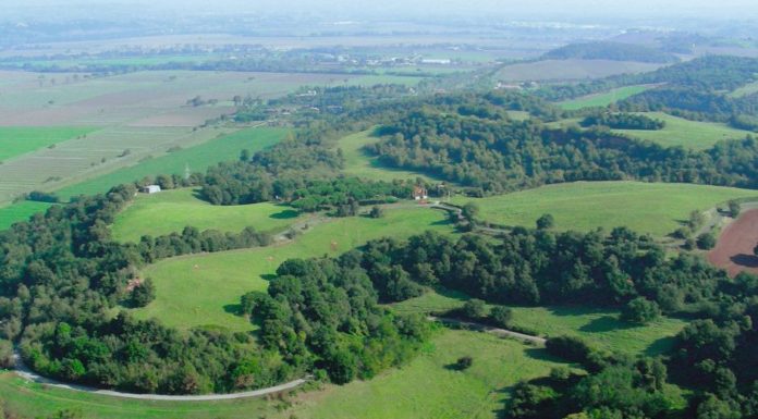 Il Consiglio regionale approva il Piano della riserva della Marcigliana