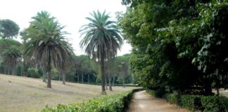 Roma, oltre 2,5 mln per la riqualificazione di Villa Ada