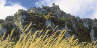 San Marino avrà una legge a protezione della sua fauna selvatica