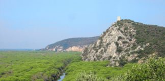 Parco Maremma, parere favorevole al bilancio preventivo