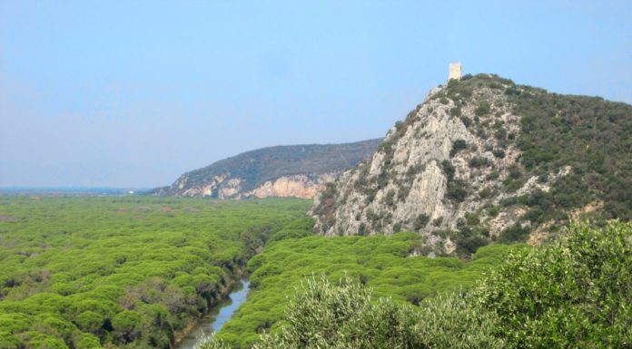 Parco Maremma, parere favorevole al bilancio preventivo