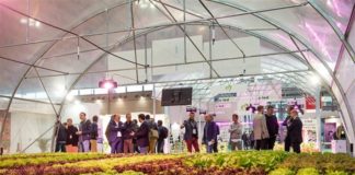 Macfrut, Piraccini “Opportunità per intera filiera ortofrutta”