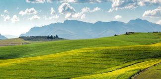 Produrre meglio consumando meno, le sfide del sistema alimentare