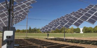 Agrivoltaico sostenibile per produrre energia e coltivare terreni