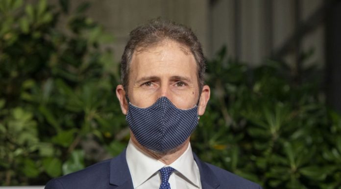 M5s, Rousseau “Contro legge comunicare i dati degli iscritti”