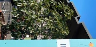 Vaccino: AstraZeneca per i 50enni su base volontaria