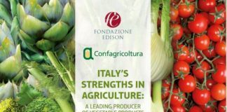I primati dell’ortofrutta italiana, pubblicato report in inglese