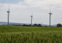 Agenzia del Demanio, 6 nuovi bandi per terreni da destinare alla produzione di energia rinnovabile