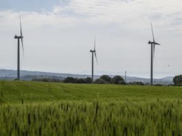 Agenzia del Demanio, 6 nuovi bandi per terreni da destinare alla produzione di energia rinnovabile
