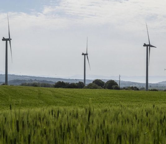 Agenzia del Demanio, 6 nuovi bandi per terreni da destinare alla produzione di energia rinnovabile