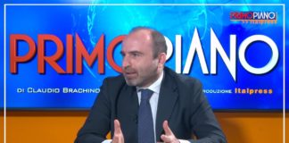 Arbolia, pubblico e privato insieme per i “boschi urbani”