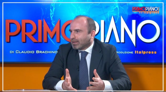 Arbolia, pubblico e privato insieme per i “boschi urbani”