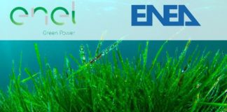 Egp-Enea, accordo per innovativo impianto-pilota agrivoltaico