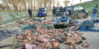 Colpo a bracconaggio ittico, Matteoli “Orgoglioso del lavoro”