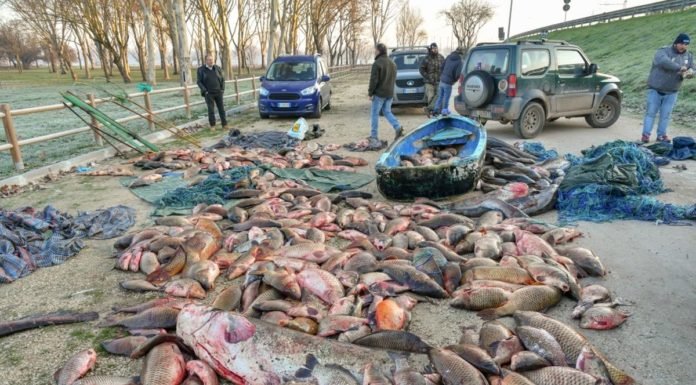 Colpo a bracconaggio ittico, Matteoli “Orgoglioso del lavoro”