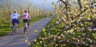 Italian Green Road Award 2021, candidature fino al 31 maggio