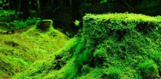 Ambiente, assessori Pili e Lampis “Servono investimenti in Sardegna”